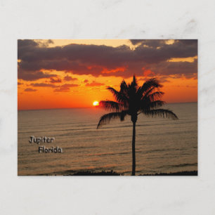 Sunrise in Jupiter Postcard