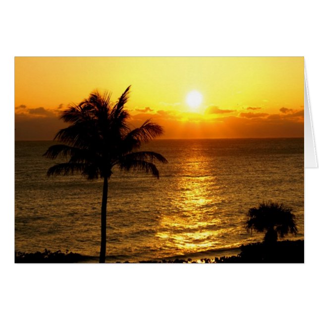 Sunrise in Paradise (Front Horizontal)