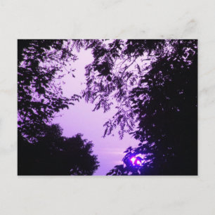 Sunrise in Purple postcard