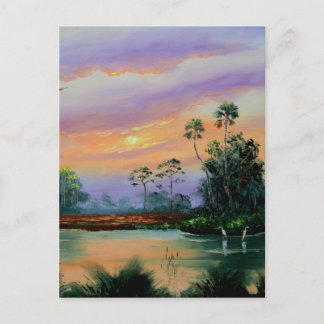 Sunrise in the Everglades Postcard