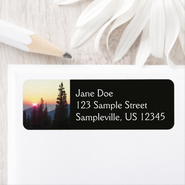 Sunrise in the Forest at Rocky Mountain (Insitu)