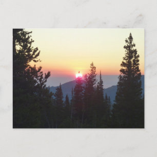 Sunrise in the Forest at Rocky Mountain Postcard