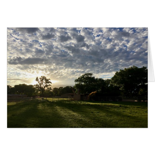 Sunrise in the North Valley, Albuquerque, NM (Front Horizontal)