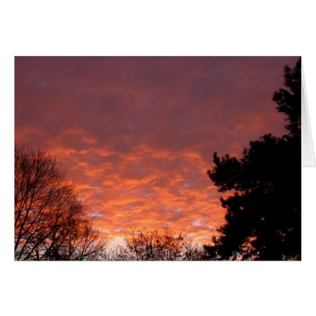 Sunrise - January 2003 (Front Horizontal)