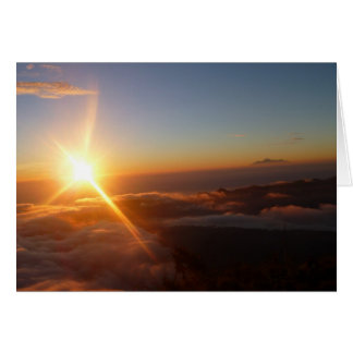 Sunrise Joy
