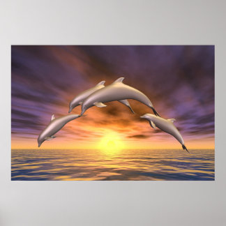 Sunrise Jump Poster