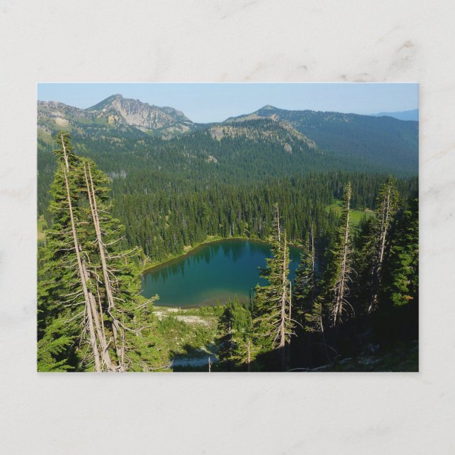 Sunrise Lake from Above at Mount Rainier Park Postcard (Front)