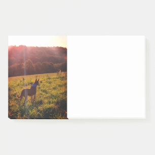 Sunrise Landscape with Dog  Post-it Notes