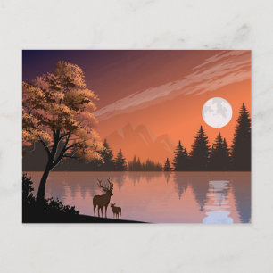Sunrise Landscape with Lake and Deers-51207 Postcard