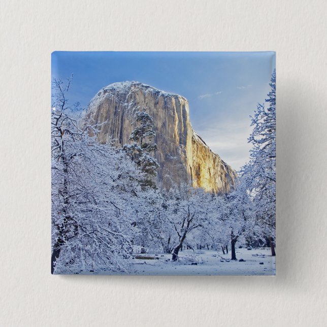 Sunrise light hits El Capitan through snowy 15 Cm Square Badge (Front)