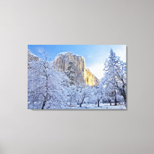 Sunrise light hits El Capitan through snowy Canvas Print
