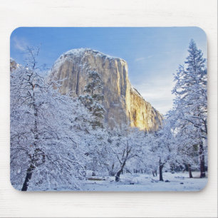 Sunrise light hits El Capitan through snowy Mouse Mat