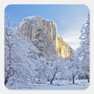 Sunrise light hits El Capitan through snowy Square Sticker