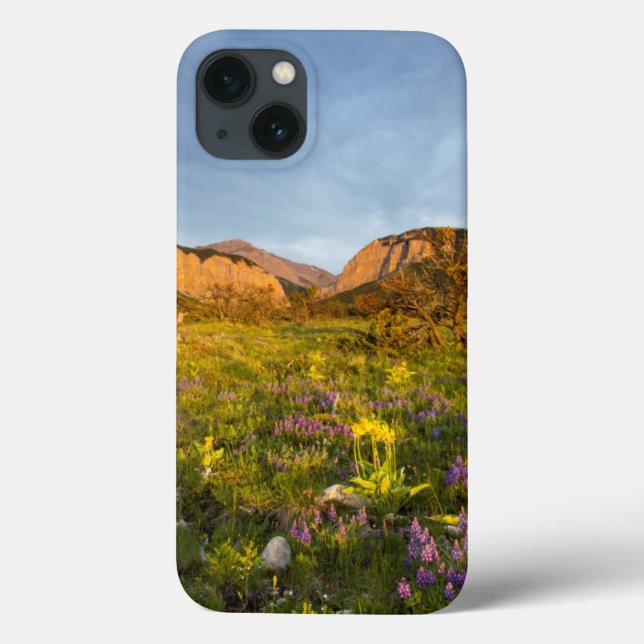 Sunrise Lights Blackleaf Canyon Case-Mate iPhone Case (Back)