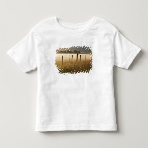 Sunrise lights fog along fence near Charlo Toddler T-Shirt