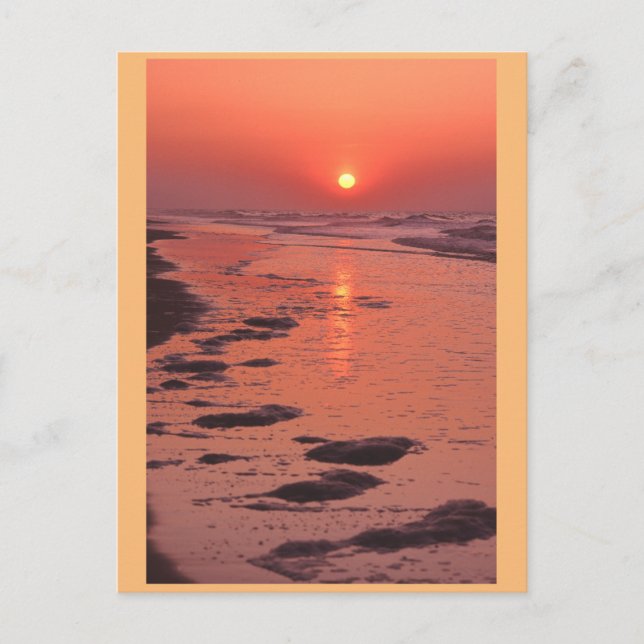 Sunrise, Low Tide Postcard (Front)