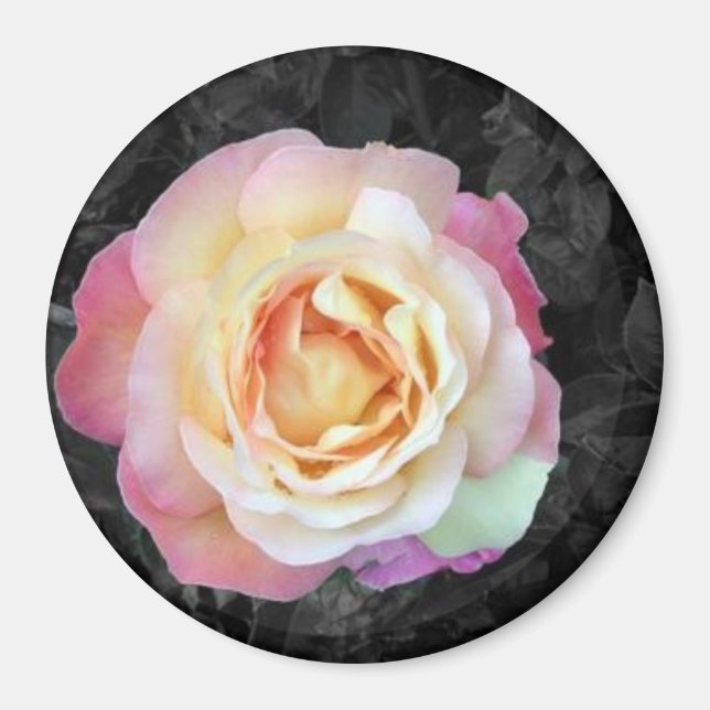 Sunrise Magnet (Front)