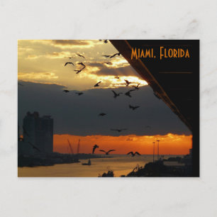 SUNRISE......    Miami, Florida Postcard