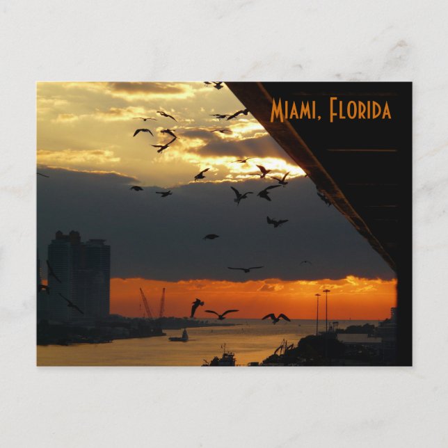 SUNRISE......    Miami, Florida Postcard (Front)