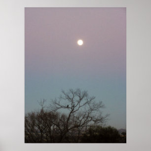 sunrise moon poster