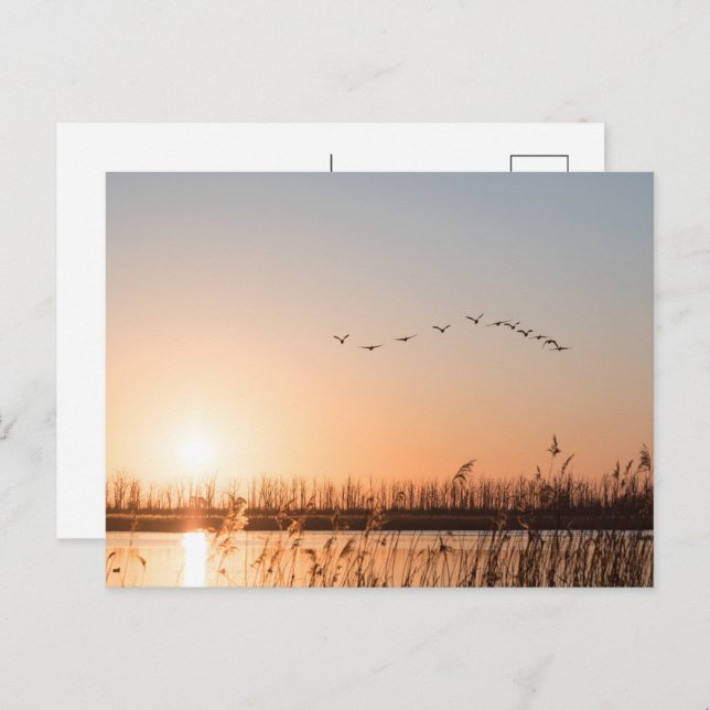 Sunrise Nature Photo Holiday Postcard (Front/Back)
