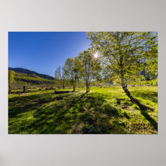 Sunrise on a pasture full of sheep poster