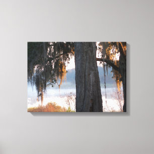 Sunrise on a small misty lake in the South Canvas Print