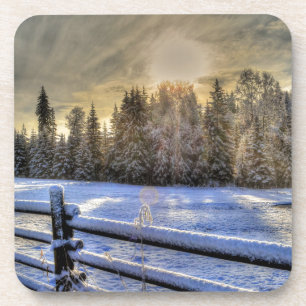 Sunrise on a Winter Pasture in Snow Coaster