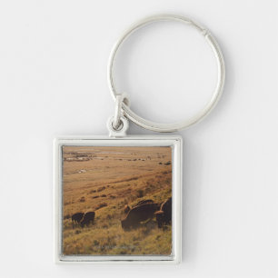 Sunrise On Bison Key Ring