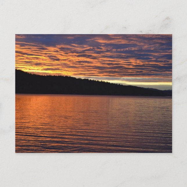 Sunrise on Lake Washington Postcard (Front)