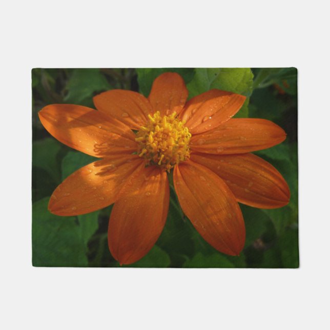 Sunrise on Mexican Sunflower Orange Floral Doormat (Front)
