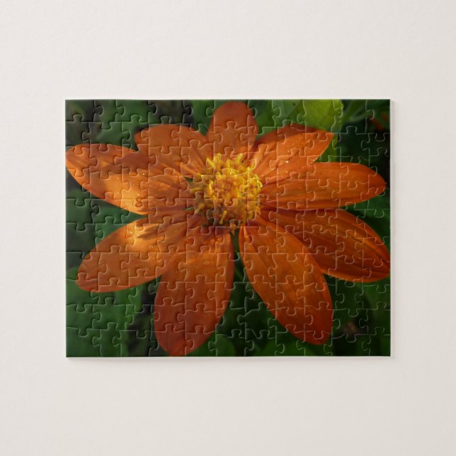 Sunrise on Mexican Sunflower Orange Floral Jigsaw Puzzle (Horizontal)