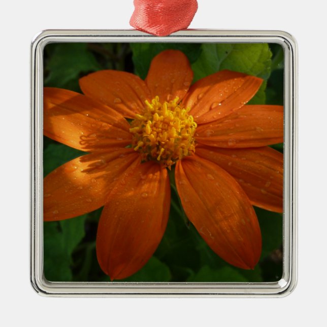Sunrise on Mexican Sunflower Orange Floral Metal Tree Decoration (Front)