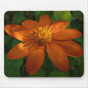 Sunrise on Mexican Sunflower Orange Floral Mouse Mat