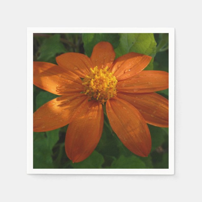 Sunrise on Mexican Sunflower Orange Floral Napkin (Front)