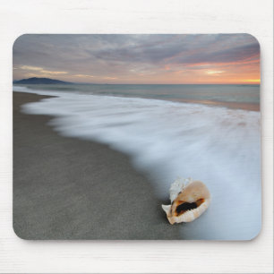 Sunrise On The Beach And A Shell Mouse Mat