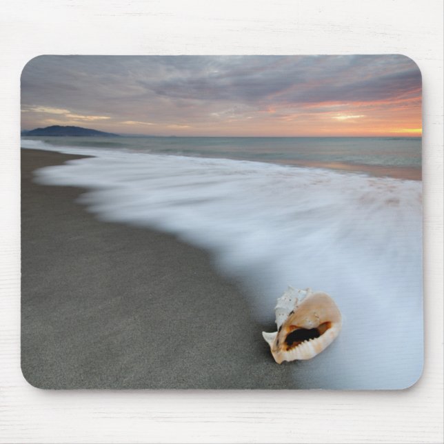 Sunrise On The Beach And A Shell Mouse Mat (Front)