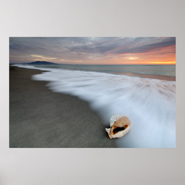 Sunrise On The Beach And A Shell Poster (Front)
