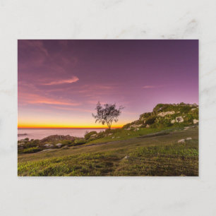 Sunrise On The Beach In Florianopolis Postcard