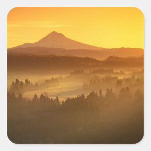 Sunrise orange colours the fog in the valley in square sticker