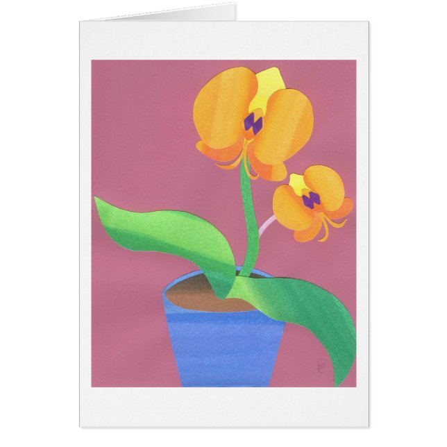 Sunrise Orchid (Front)