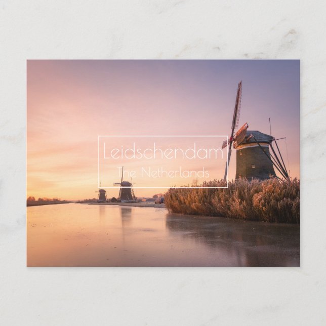 Sunrise over frozen river with windmills and reeds postcard (Front)