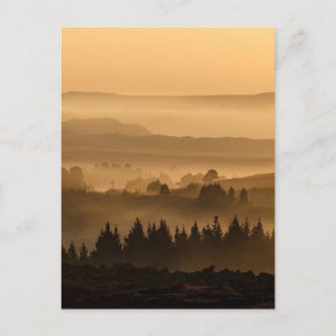 Sunrise Over Misty Rolling Hills Landscape Postcard