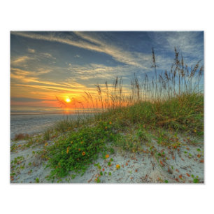 Sunrise Over Sand Dunes in Daytona Beach, FL Photo Print
