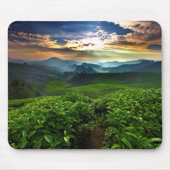 Sunrise over Tea Farm Mouse Mat (Front)