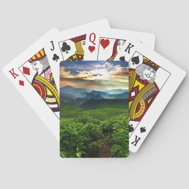 Sunrise over Tea Farm Playing Cards (Back)