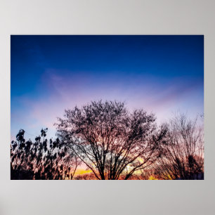 Sunrise over Trees Poster