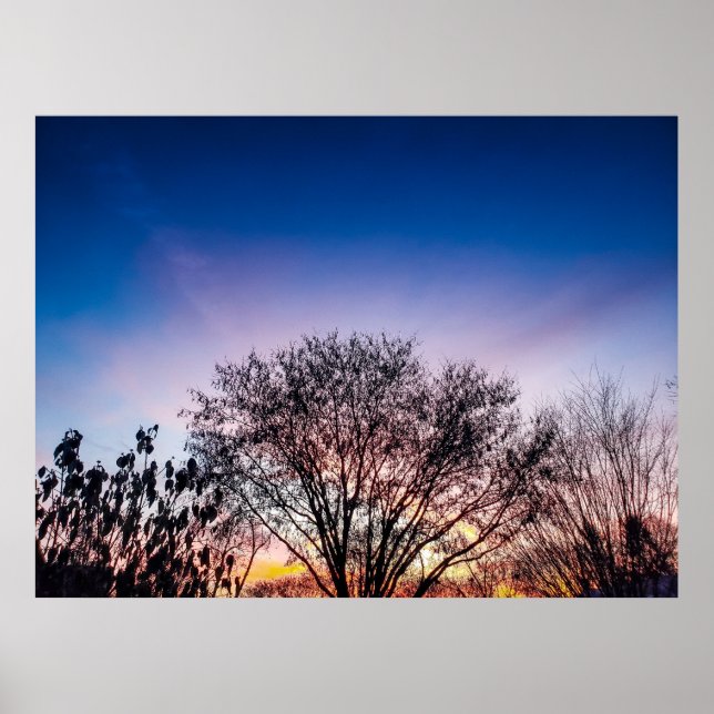 Sunrise over Trees Poster (Front)