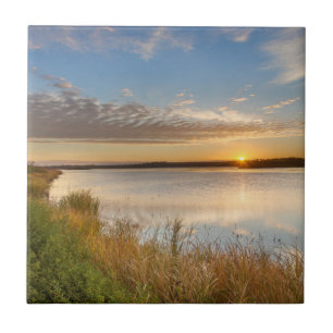 Sunrise Over Wetlands At Arrowwood National Tile