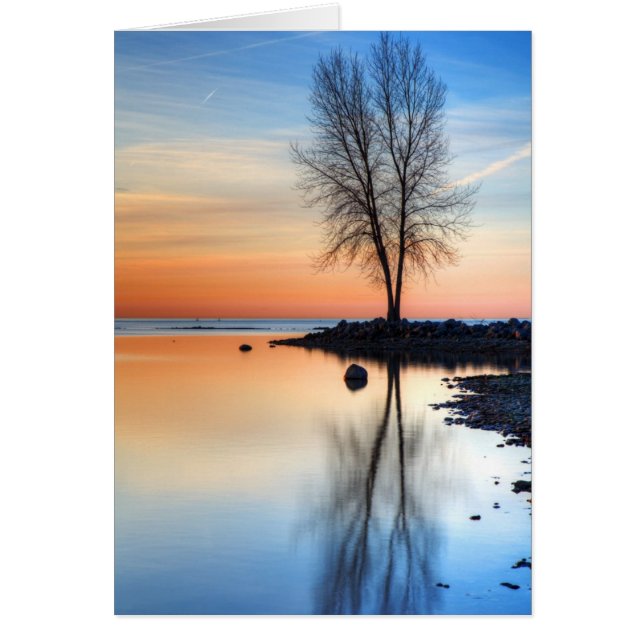 Sunrise Palette (Front)